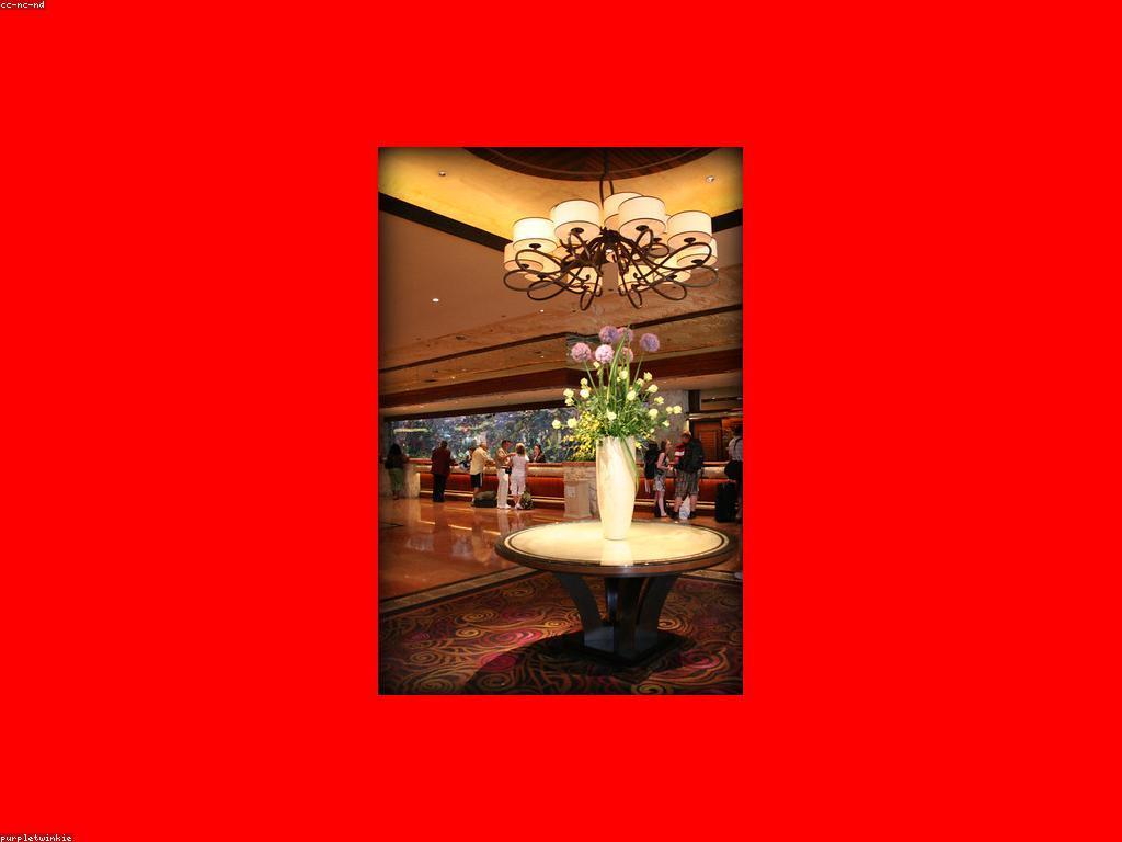 គ្រឹះស្ថានកាស៊ីណូ: ការវាយតម្លៃនិងការប្រៀបធៀប