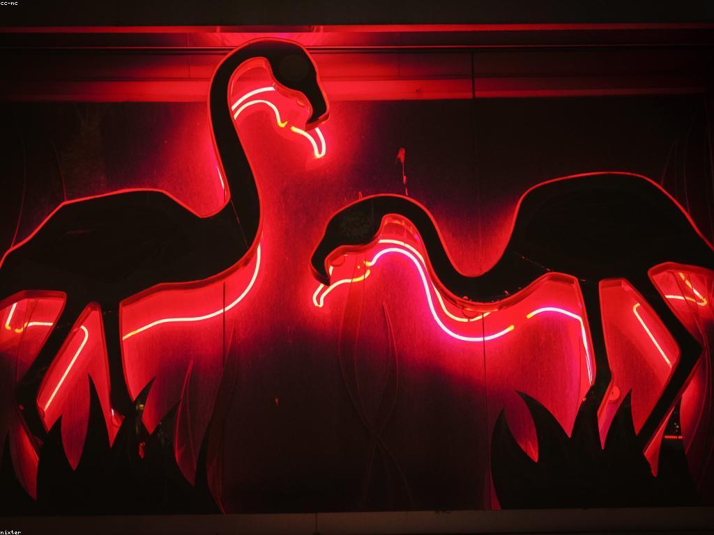 បច្ចេកវិទ្យាថ្មីនៃកាស៊ីណូ